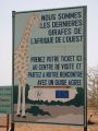 01 les dernieres girafes d Afrique de l Ouest